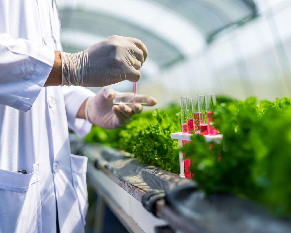 Agriculture Chemicals